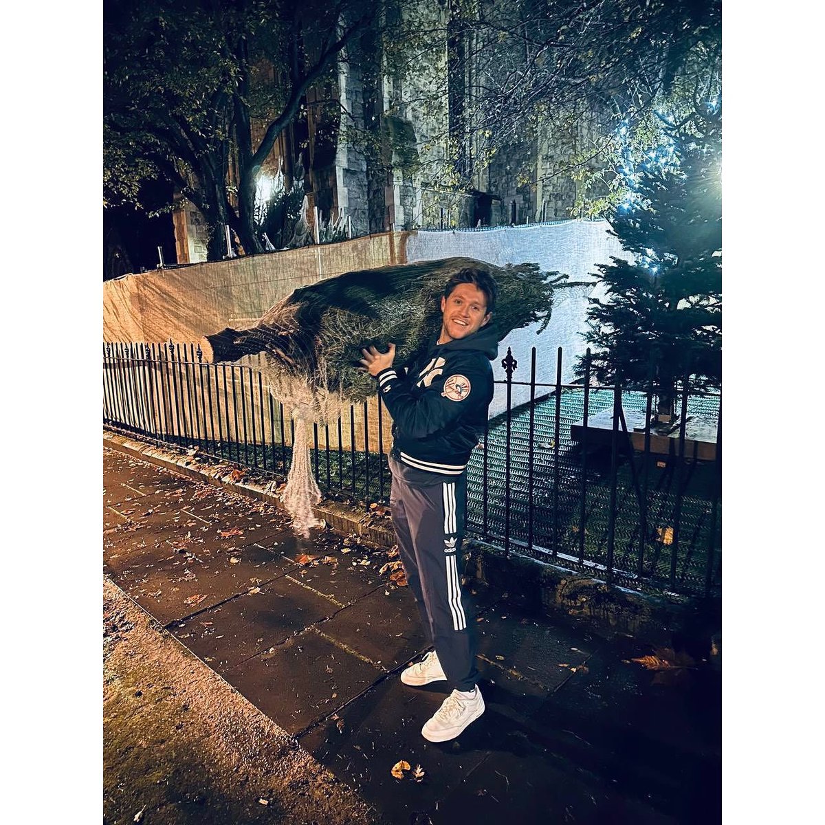 これツリーだったのね、w
誰かがガチョウに見えたっていうツイート見てからナイルのストーリー見たからなぜかずっと鳥だと思ってた