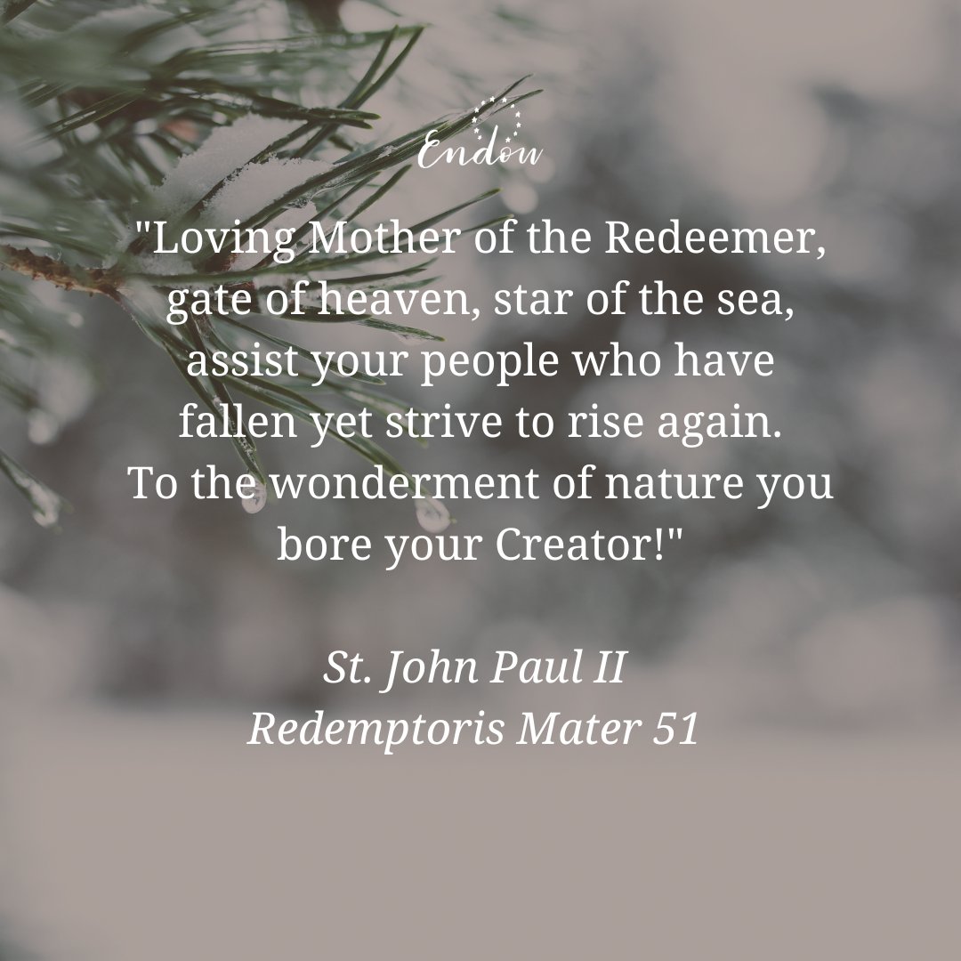 Endow (@endowgroups) on Twitter photo 