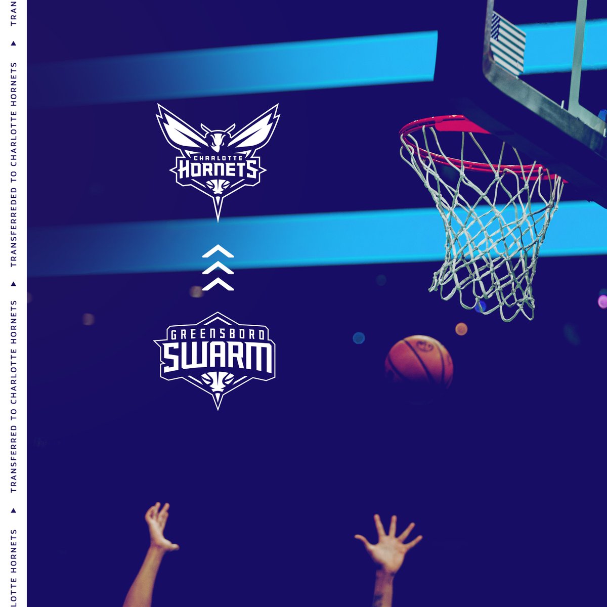 hornets's tweet photo. OFFICIAL: We have recalled center Mark Williams from the @greensboroswarm. https://t.co/UPaEvNj7cK