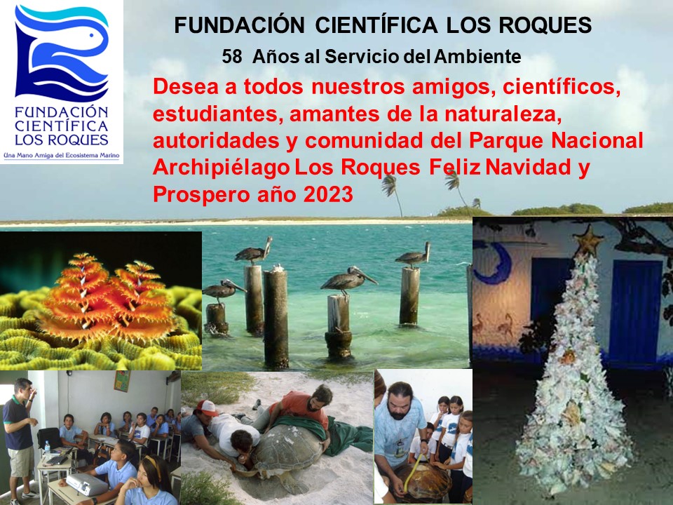 fc_roques tweet picture