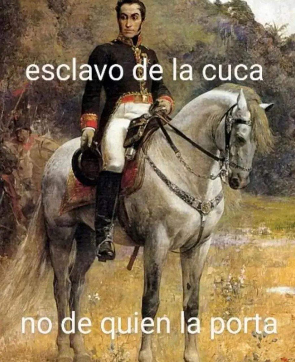 Indisciplinado's tweet photo. buenas noches https://t.co/WF7DGMS2o3