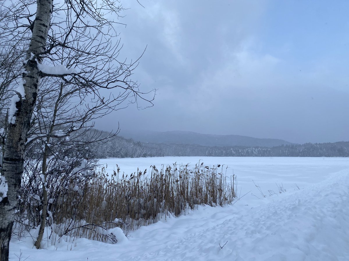 Stephane Wyper tweet media