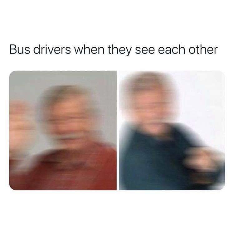 WholesomeMemes tweet media