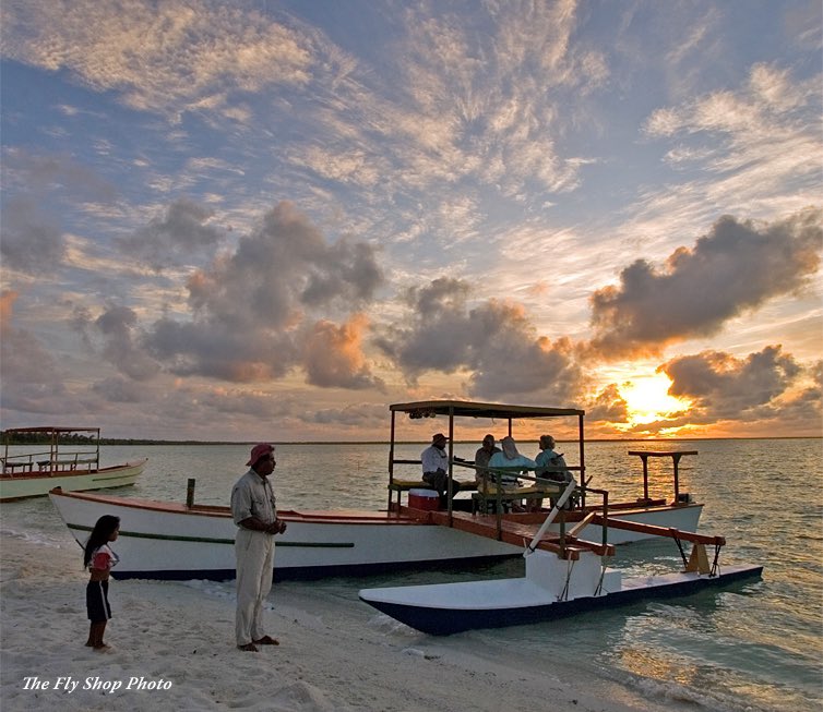 The Fly Shop tweet media