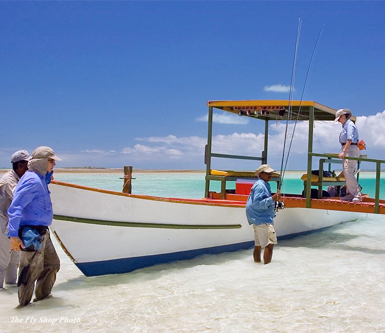 The Fly Shop tweet media