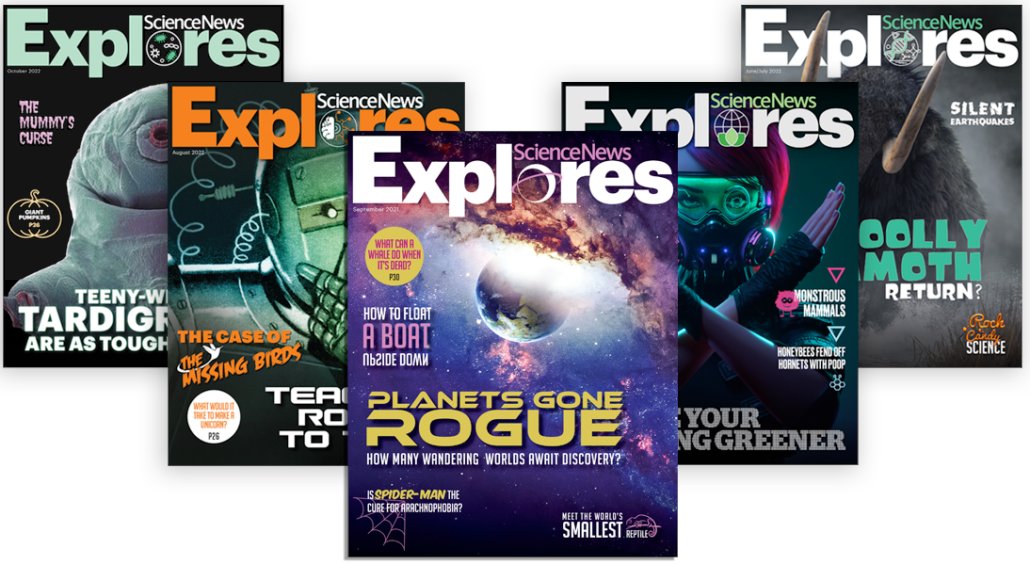 SN_Explores's tweet photo. Looking for a last minute gift for the science curious young person?  Consider a @SN_Explores subscription! https://t.co/XFkOFnwTBK Happy Holidays! 🌲❄✨ https://t.co/ZET5yJPWXU