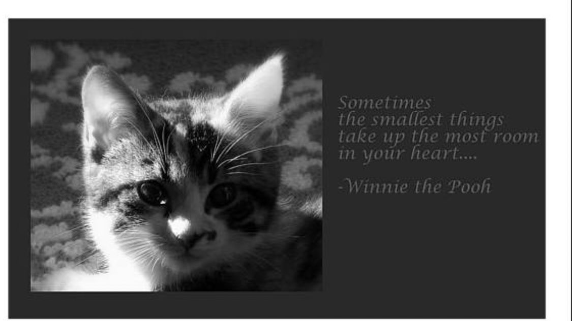 SoxandD's tweet photo. @claraandstorm Oh no 😿what terrible news we are so very sorry 😢 RIP beautiful Clara 🌈💗💗💗🐾hugs to you and Storm 😽💕🐾 #RIPClara https://t.co/RYe2Pju1F1
