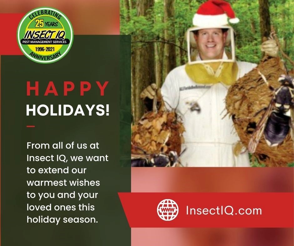 IQBeeRemoval's tweet photo. Common Christmas Tree Bugs / How to Get Rid of Them
It’s the question on everyone’s minds this holiday season: https://t.co/xyFouR6jzh
#insectiq #pestcontrol #lawncare #wildlife #fullservicepestconrol #insectiq #nutrilaswn #christmasbugs #christmastreebugs #christmastree https://t.co/oy0poWyVpw