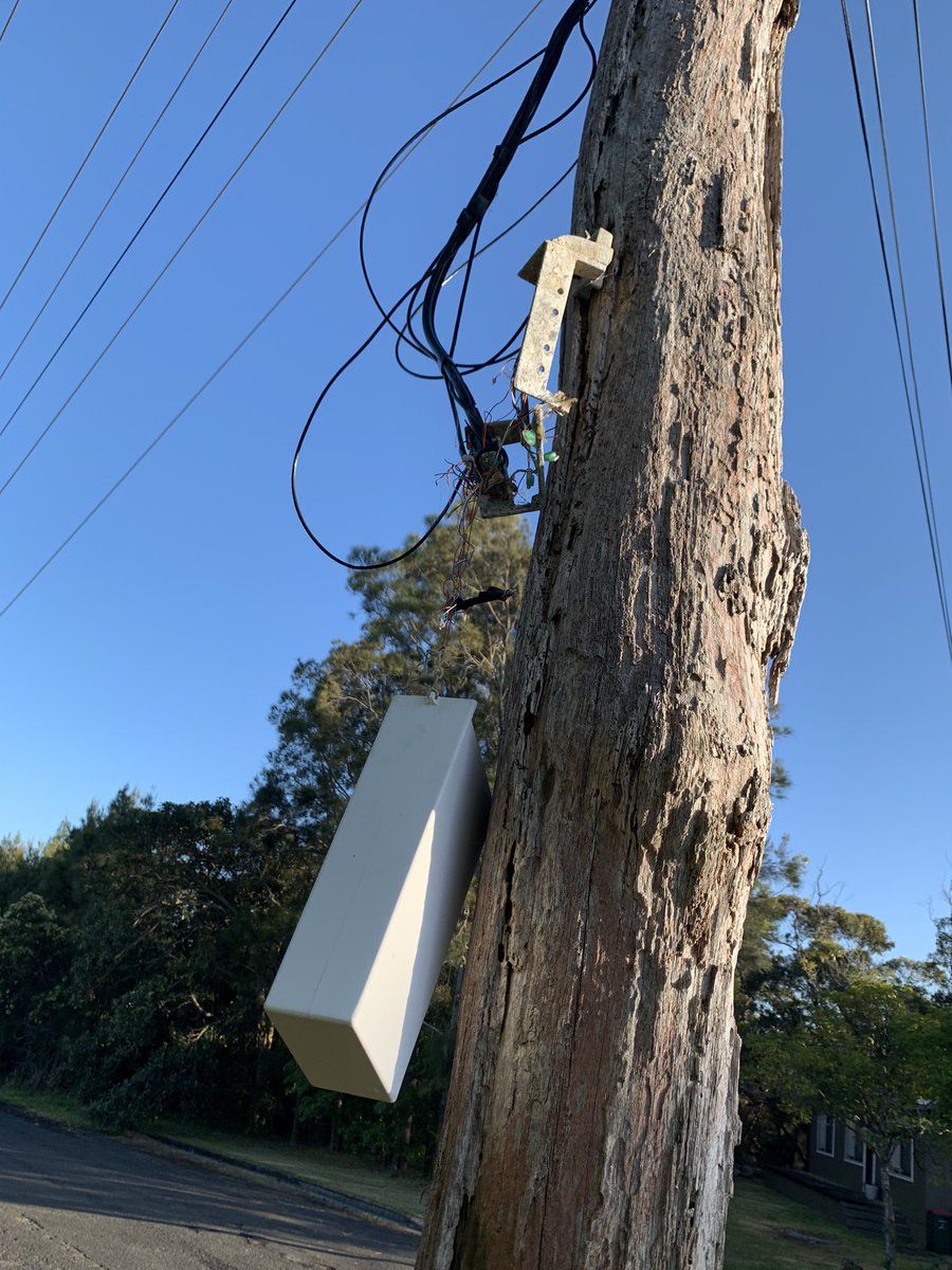 Peter Rae tweet media