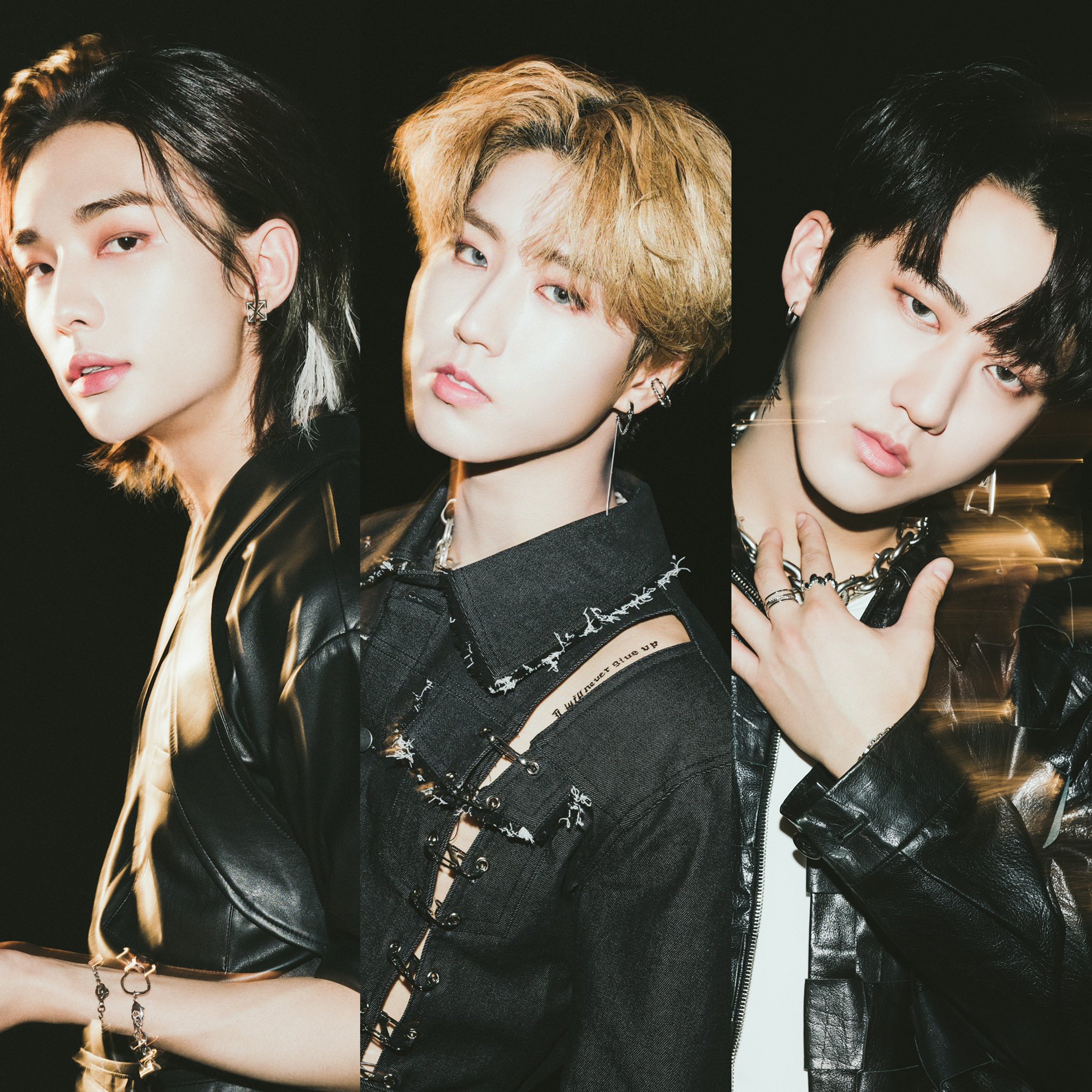 Hyunjin Facts (@HyunjinFacts) / Twitter