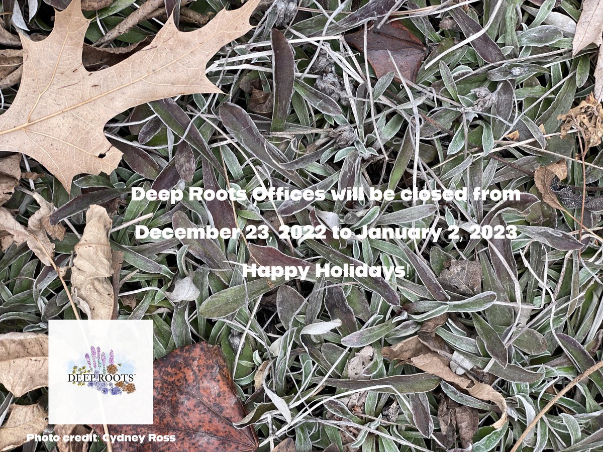 Deep Roots KC (@deeprootskc) on Twitter photo 