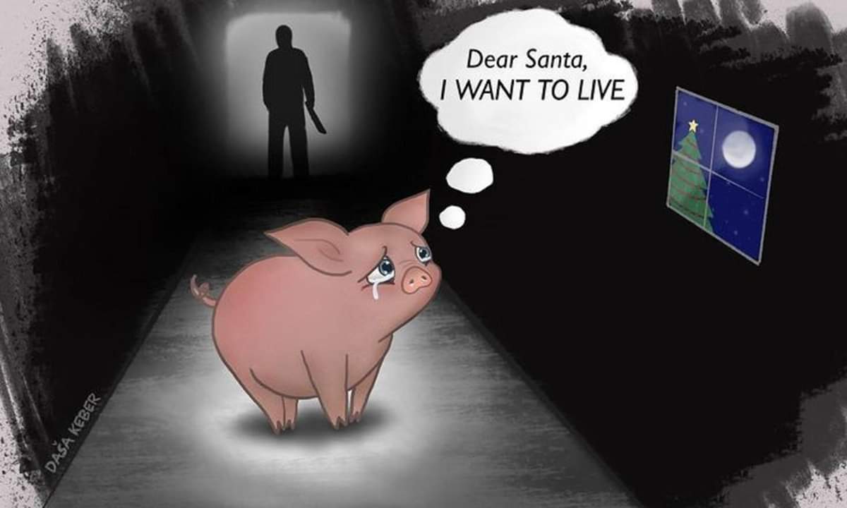 Dragofix's tweet photo. They want to live, just like all animals. #AnimalRights #GoVegan #Christmas https://t.co/Wv1JfMz34l