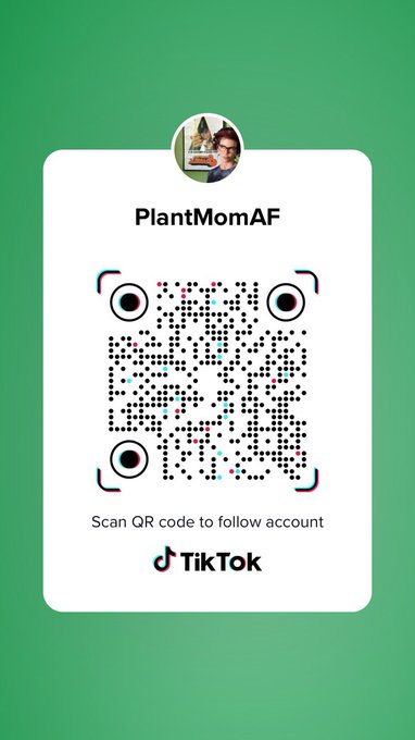 Follow me https://t.co/d8W53oCdYF