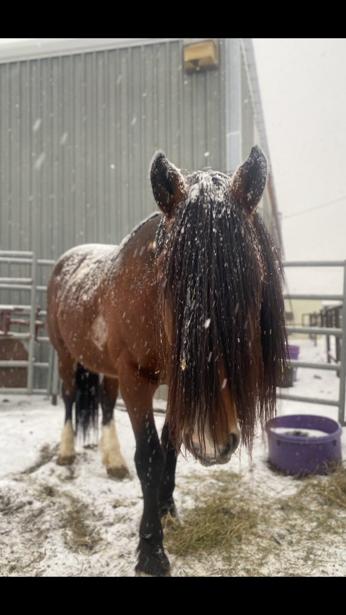 Lest we forget Miss C’s home <a href="/lorifranzen925/">Lori franzen</a>