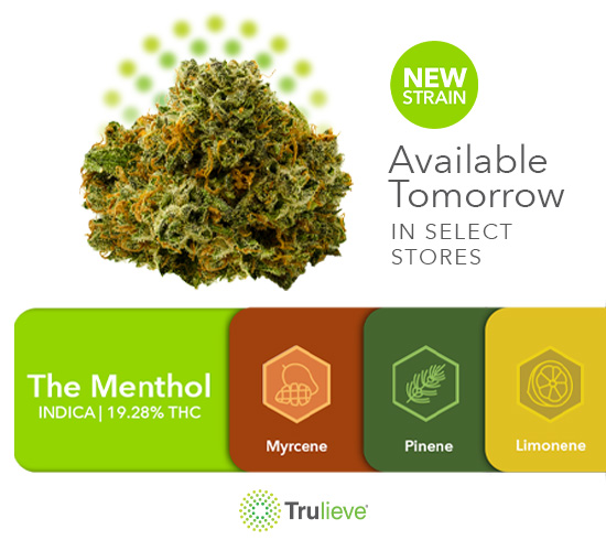 Trulieve's tweet photo. #AvailableTomorrow in select stores, #new "The Menthol"!βοΈ This nuanced genetic cross of Gelato #45 is a staple of Compound Genetics' strain arsenal. Keep your holidays cool to the touch with The Menthol's minty flavor.π₯Ά
#InStoresTomorrow #Trulieve #Indica #NewStrain https://t.co/6sbieoIQAI