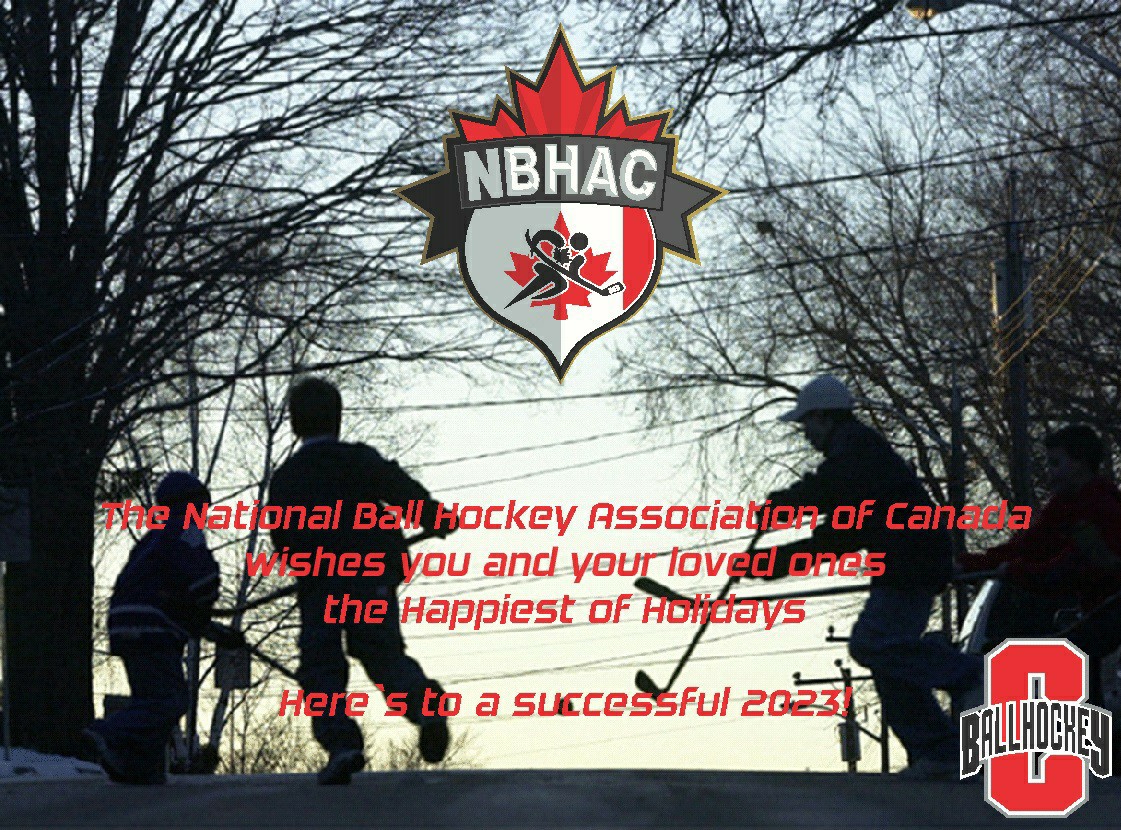 Canada Ball Hockey tweet media