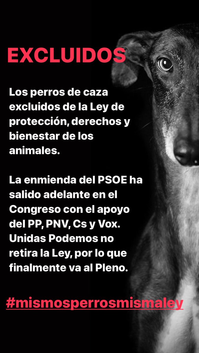 VERGÜENZA 
#mismosperrosmismaley