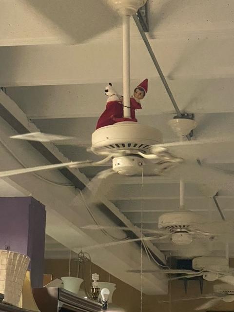 Whodda thunk this little rascal could recognize a deal when he saw one? Sammy was spotted at our #InnStyleResale store stocking up on who knows what but most certainly finishing up his #Christmas shopping. Thanks to our Inn Style Clerk Tina for her eagle eye! #TheSamaritanInn