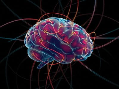 TheManlyMan101's tweet photo. How to learn anything, FAST

Become a learning machine: 6 surprising strategies

//THREAD// https://t.co/tRpSVJQaiI