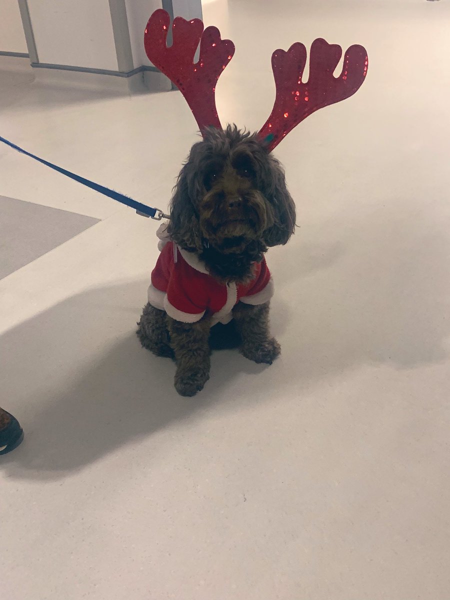 Critical Care LTHTR tweet media