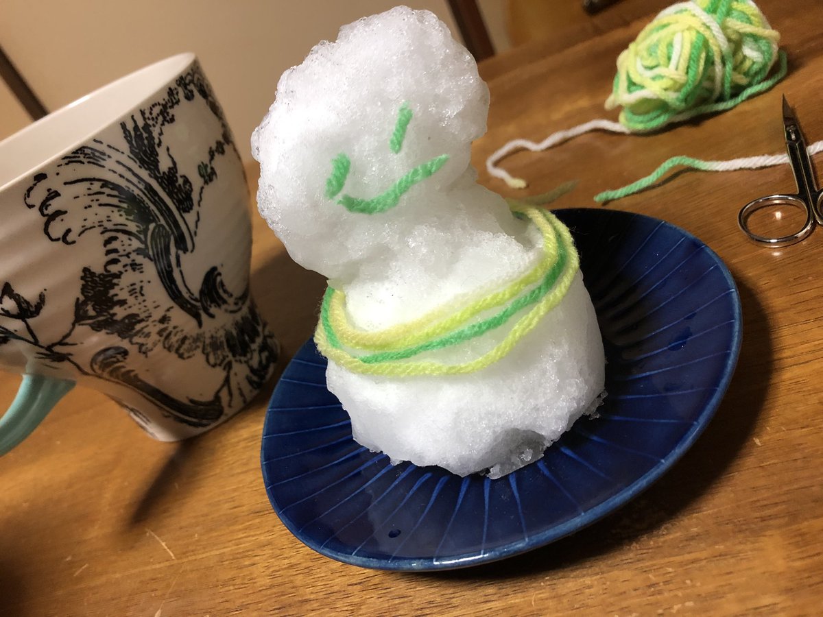 00oo9s's tweet photo. 吹雪いとる。
雪国育ちだけどやっぱり作るよね、雪だるま。 https://t.co/XNVYJfuYAE