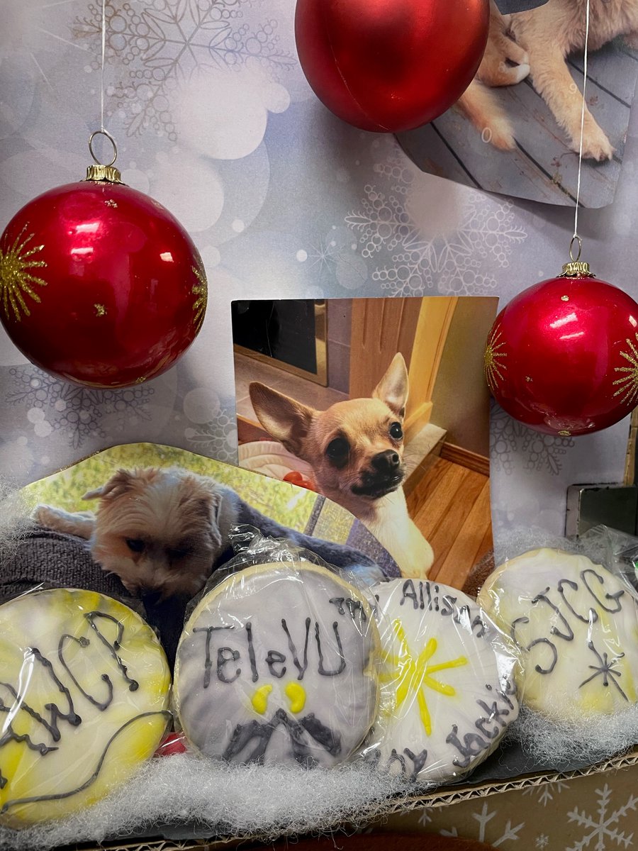 We received this beautiful message from our good friends at St. Joseph's Care Group in Thunder Bay. Notice the hand-crafted TeleVU cookie? 
Happy Holidays!