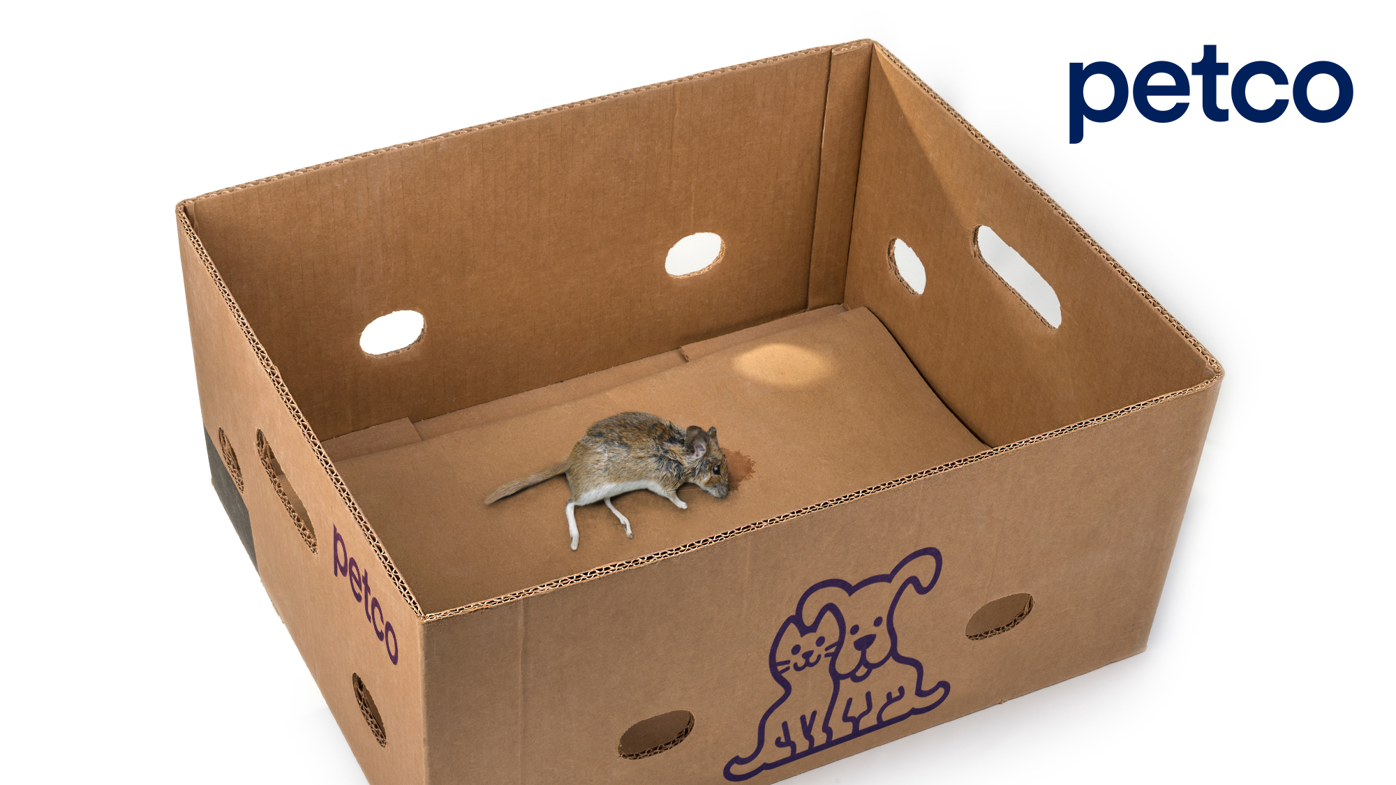 Photo inspiration: The Onion On Twitter Petco Begins Selling Pre Killed Gerbils Photo Inspiration