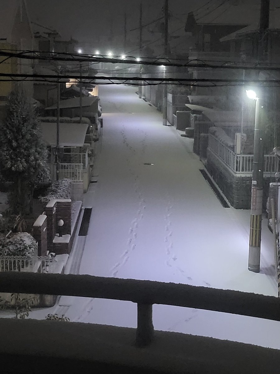 ここ大阪ですよね？🤣