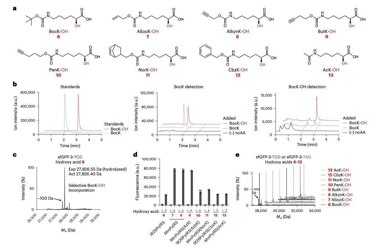 Enzyme Chemistry tweet media