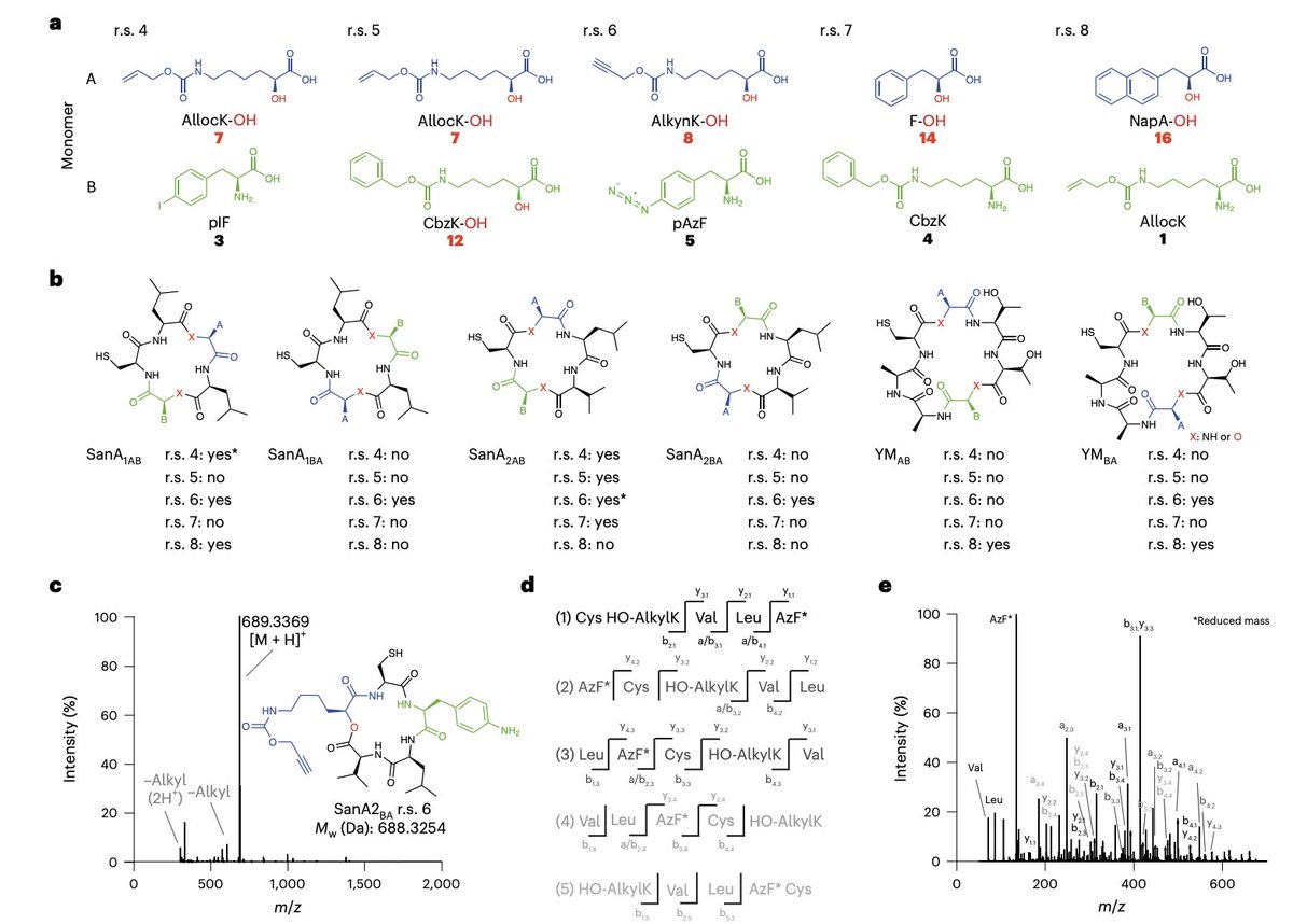 Enzyme Chemistry tweet media