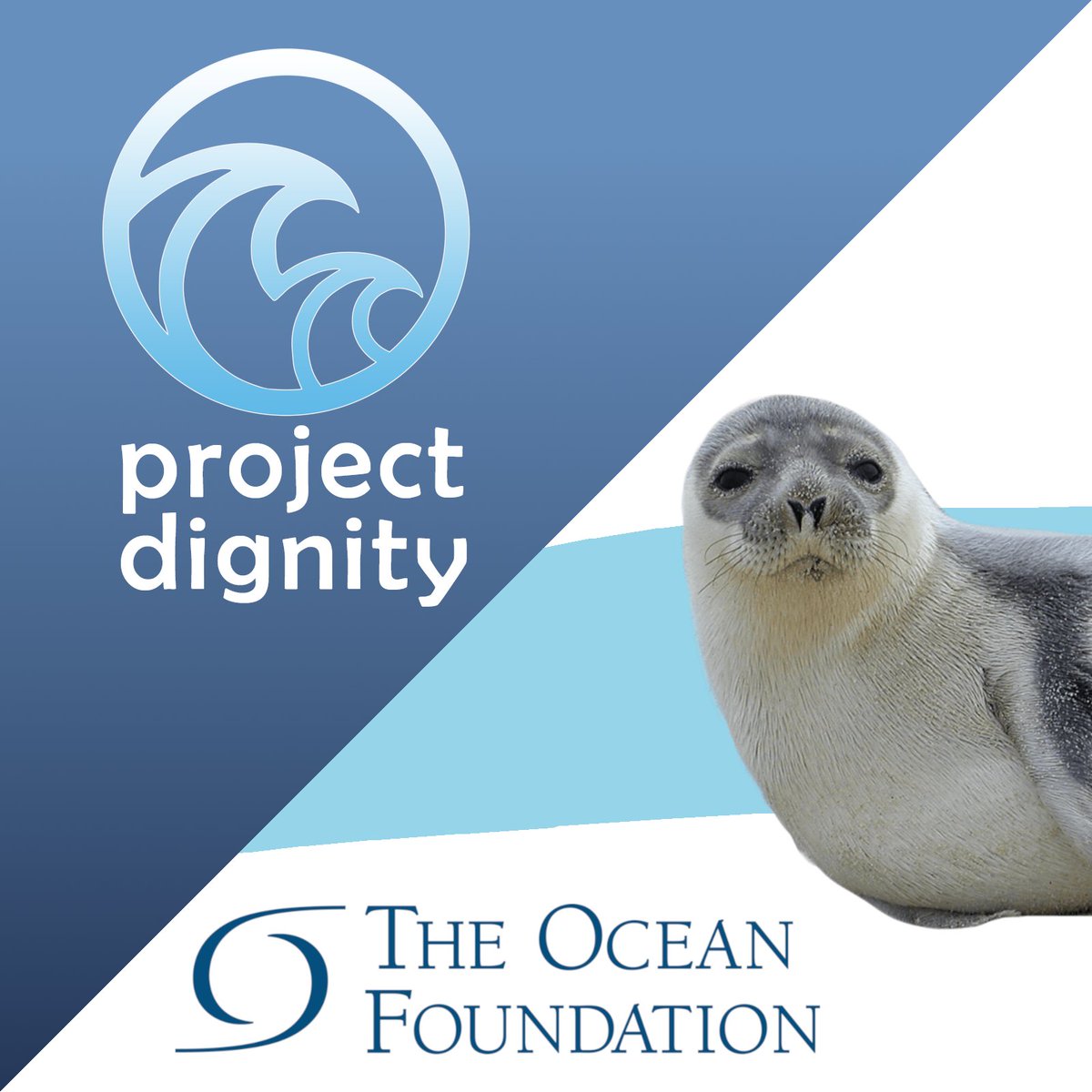 (1/2)
We at Project Dignity deeply care about the ocean and marine life!

We're more than happy to announce we are sharing 50% of the last months royalties (400USD) from our collections to support the cause of <a href="/oceanfdn/">The Ocean Foundation</a> !