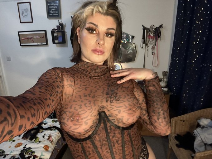 I&rsquo;m a good kitty https://t.co/CzXXHrWmnD