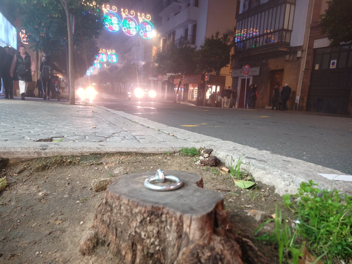 ¿Alguien puede explicarme esto en la calle Canalejas? Una base de naranjo con un cáncamo taladrado dentro... <a href="/salvatusarboles/">salvatusarbolessevilla</a> <a href="/WWFSevilla/">Grupo Local WWF Sevilla</a> <a href="/Ayto_Sevilla/">Ayuntamiento de Sevilla</a> <a href="/antoniomunozsev/">Antonio Muñoz</a>