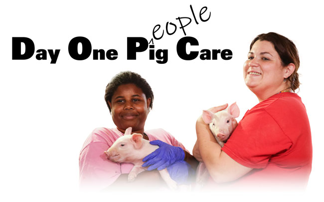 DocSarahDVM's tweet image. Day One… The most important day! - mailchi.mp/porkavenuetrai…