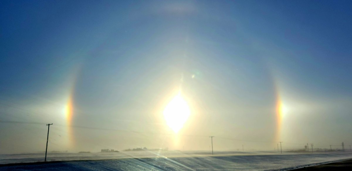 Dr. Deanna Santer tweet media