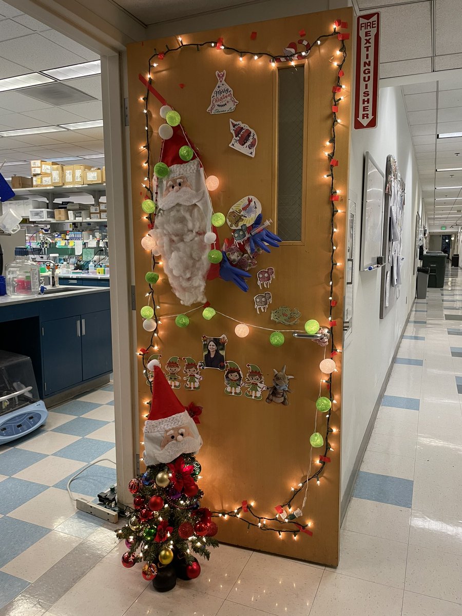 Inês Godet tweet media