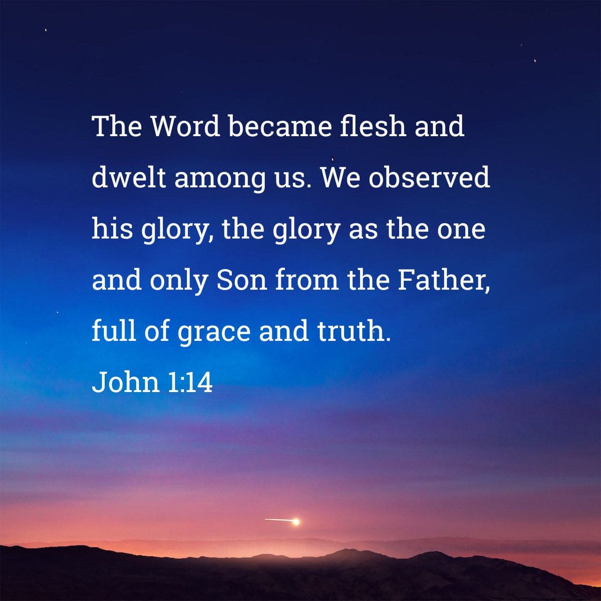 vineyardra's tweet image. #John1v14 #GraceAndTruth🙏🏼 #Luke2v10to11kjv #dailydevotion #TakeittoGodinprayer #ComfortAndJoy_SimonandGarfunkel🎶 #Tiktok