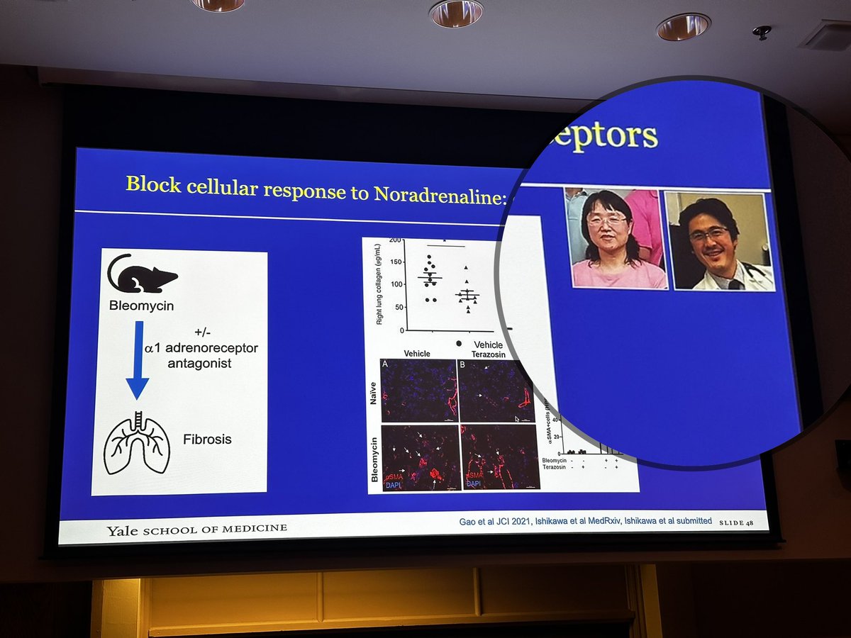 KaminskiMed's tweet photo. As expected Dr. Herzog’s talk was brilliant - and as expected - she made sure to credit team members, collaborators, patients constantly!
#RoleModel
#GreatYaleTalks
#ThisIsYalePCCSM
From #BestFellows to #BestFaculty https://t.co/DCaYRk7ZkR
