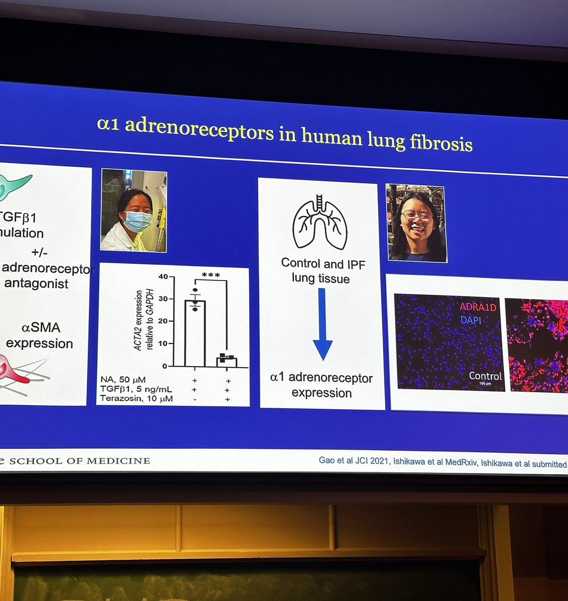 KaminskiMed's tweet photo. As expected Dr. Herzog’s talk was brilliant - and as expected - she made sure to credit team members, collaborators, patients constantly!
#RoleModel
#GreatYaleTalks
#ThisIsYalePCCSM
From #BestFellows to #BestFaculty https://t.co/DCaYRk7ZkR