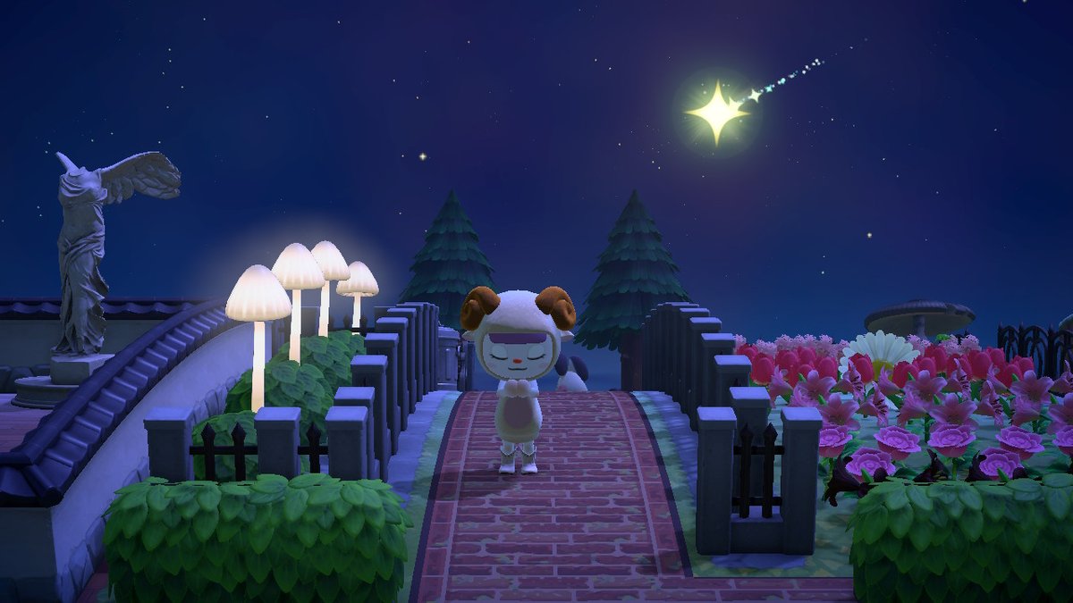 softbue's tweet photo. it's shooting star night!!!!!! :) https://t.co/7yAODLrIlp