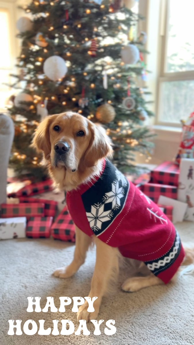 Stay warm out there friends ♥️ <a href="/Oregonian/">The Oregonian</a> #DogsofTwittter