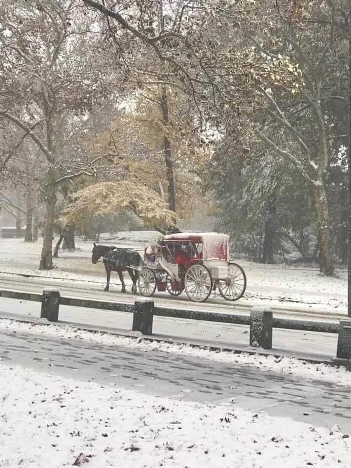 JiggersTurner's tweet photo. #CentalParkWinterStorm #JiggersIsKing #cynthiabasinet https://t.co/tM6kVvpg0B