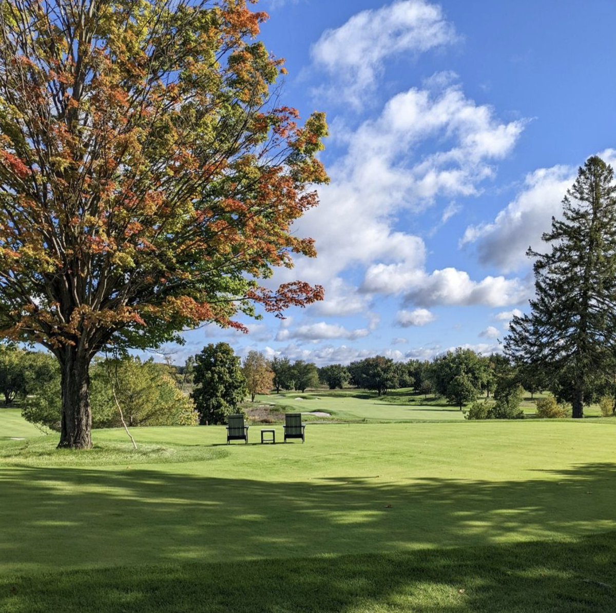 fairways-freeways-on-twitter-okay-internet-you-re-going-to-settle