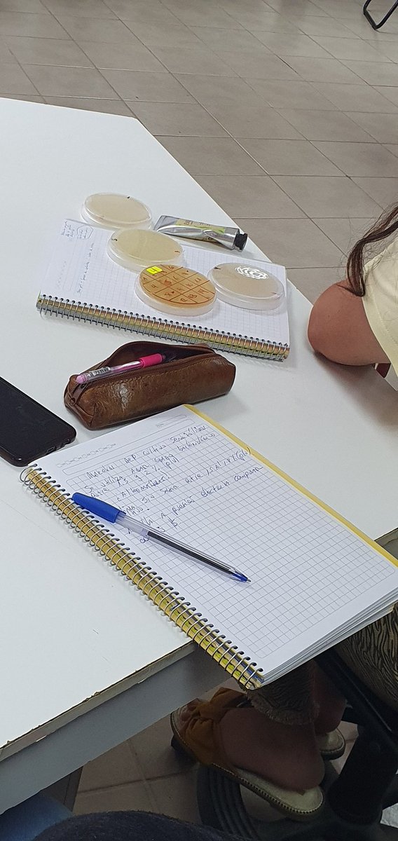 MariaCecy002's tweet photo. Ayer pensaba que ya se acaba la semana🤣🤣🤣, pero no. Hoy si que si terminamos la semana intensiva de #ICEC... Dejamos de trabajar unos meses con los profes y retornamos en marzo con toda la energía💪😎🌞🏖️ https://t.co/QWQFe9iD8e