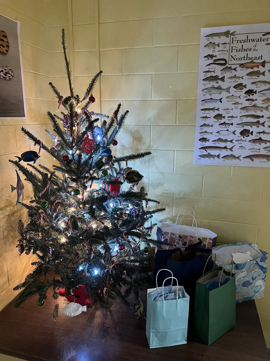 Happy Holidays and Merry #Fishmas from the BeeGee Labs @MSU_IBIO @EEB_MSU @msugenetics ! May your fish lay well and your genomes assemble swiftly, may your reviewers be reasonable and your science awesome next year… #endlessfishmostbeautiful
