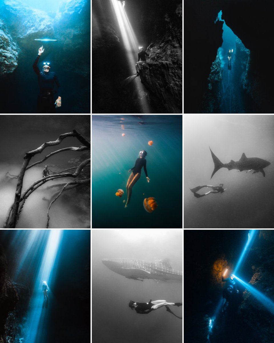 Ben Savage tweet media