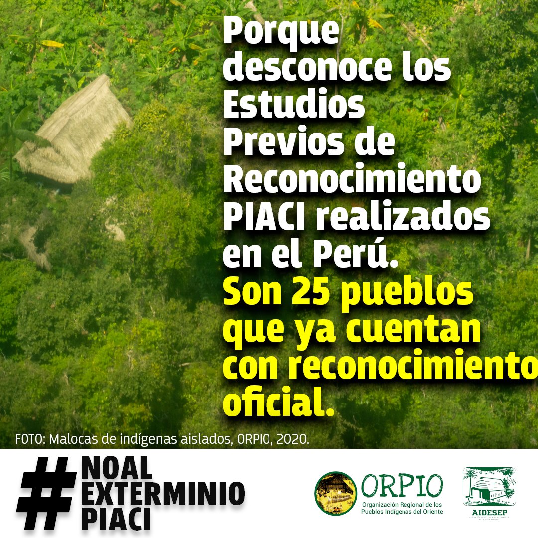 🚨 #ALERTA Aquí 5 razones en contra de la modificatoria de la Ley #PIACI propuesta por el Proyecto de Ley N 3518 que se pretende impulsar desde el <a href="/congresoperu/">Congreso del Perú 🇵🇪</a>
📣✊🏽 Súmate a la campaña para decir fuerte y claro #NoalGenocidioPIACI 
#Verlink bit.ly/denunciaAqui