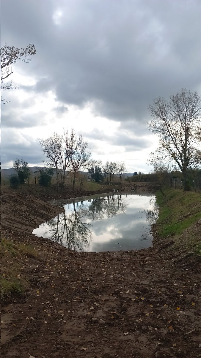 rudy_rossetto's tweet photo. Ed oggi sono iniziati i lavori per ampliamento impianto ricarica #falde #Suvereto x arrivare a infiltrare 2Mm3/anno di #acqua Ottimo risultato #liferewat e #consorzio bonifica Toscana Costa @LIFEprogrammeIT @ANBIToscana @ANBI_Nazionale @ScuolaSantAnna @MiTE_IT @UTILITALIA https://t.co/ayfj5CFk9S