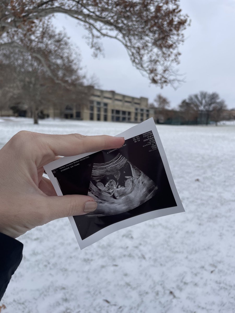 Wes Parker tweet media