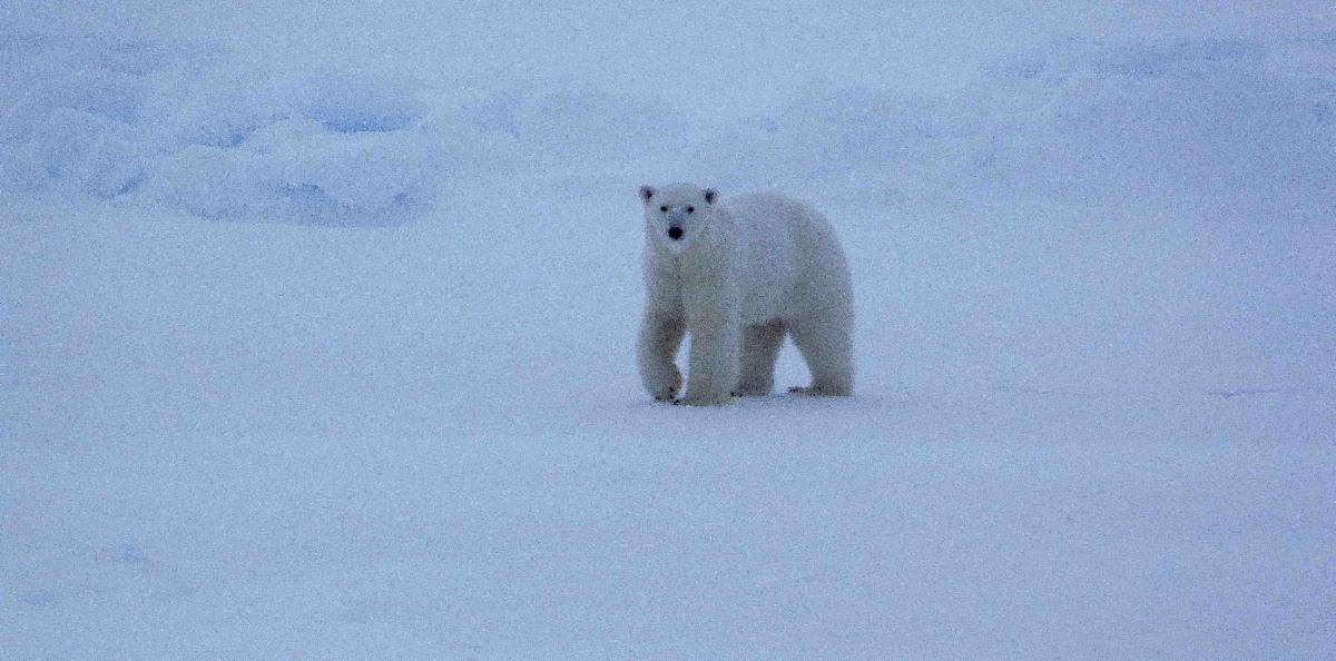 CBL Outreach tweet media